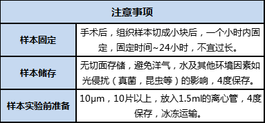 FFPE 樣本準(zhǔn)備、儲存及運(yùn)輸